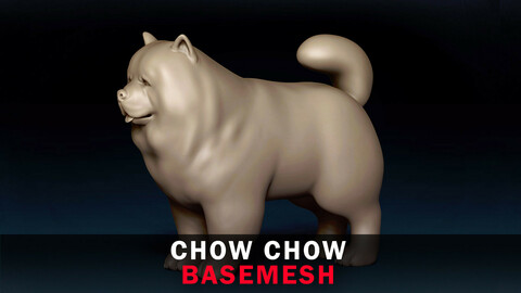 Chow Chow Base Mesh 3D Model