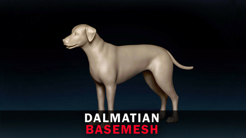 Dalmatian Base Mesh 3D Model