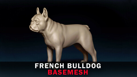 French Buldog Base Mesh 3D Model
