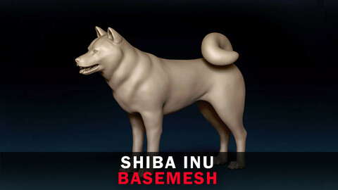 Shiba Inu Base Mesh 3D Model