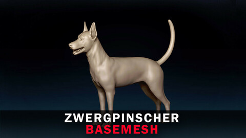 Zwergpinscher Base Mesh 3D Model