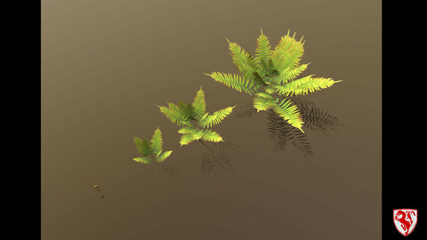 Fern pack - low poly