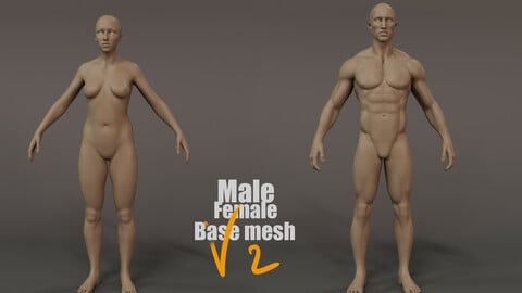 Male/Female base mesh for production