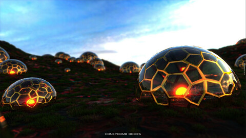 HONEY COMB DOMES