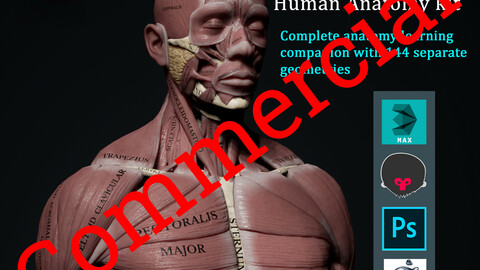 Human Anatomy Kit Commercial