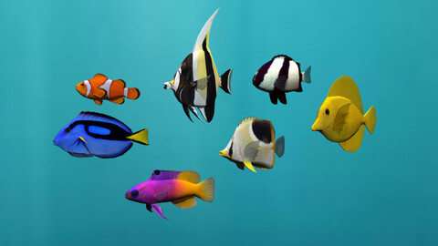 Coral Reef Fish Models
