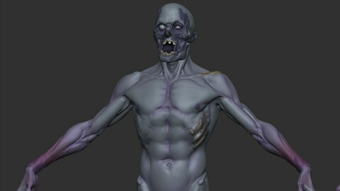 Base Mesh Zombie