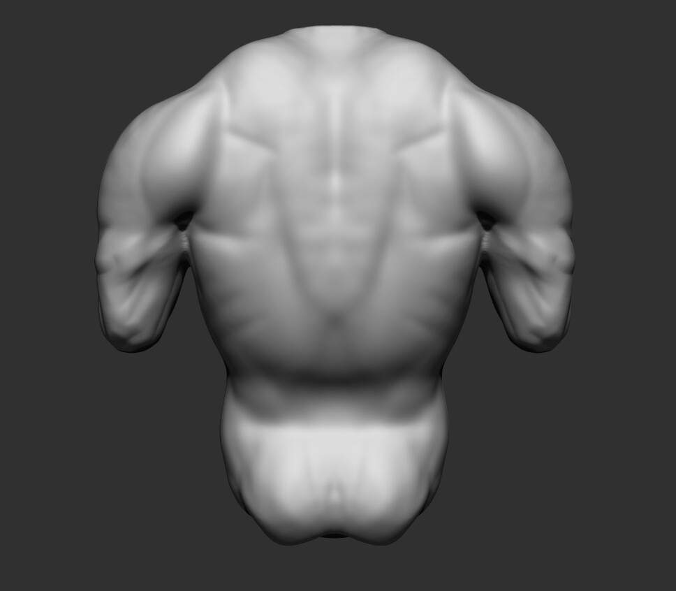 ArtStation - Male Torso | Resources