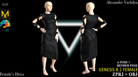 Females's Dress #1 Marvelous Designer / Clo 3D project +obj