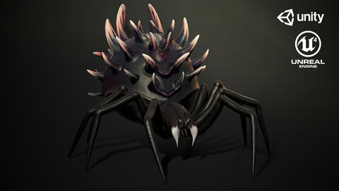 Spider_insect3