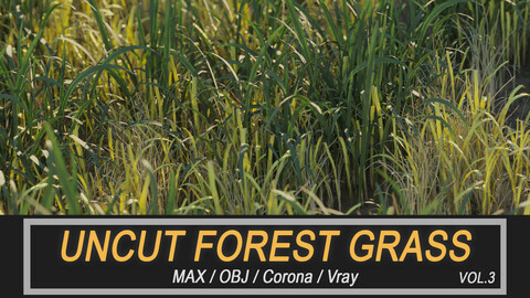 Uncut forest grass collection 03 (.max .obj)