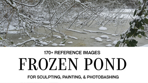Frozen Pond - Photo Reference Pack