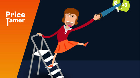 A cheerful woman on a stepladder saws off the price tag for the goods. Vector banner