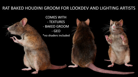 Rat posed - Houdini groom for Lighters and Lookdev artists