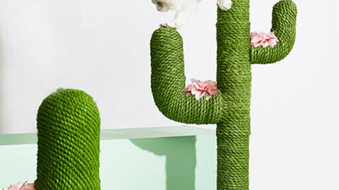 pet cat stand cactus scratcher