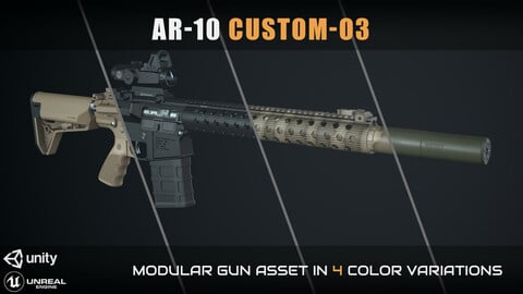AR-10 Custom-03