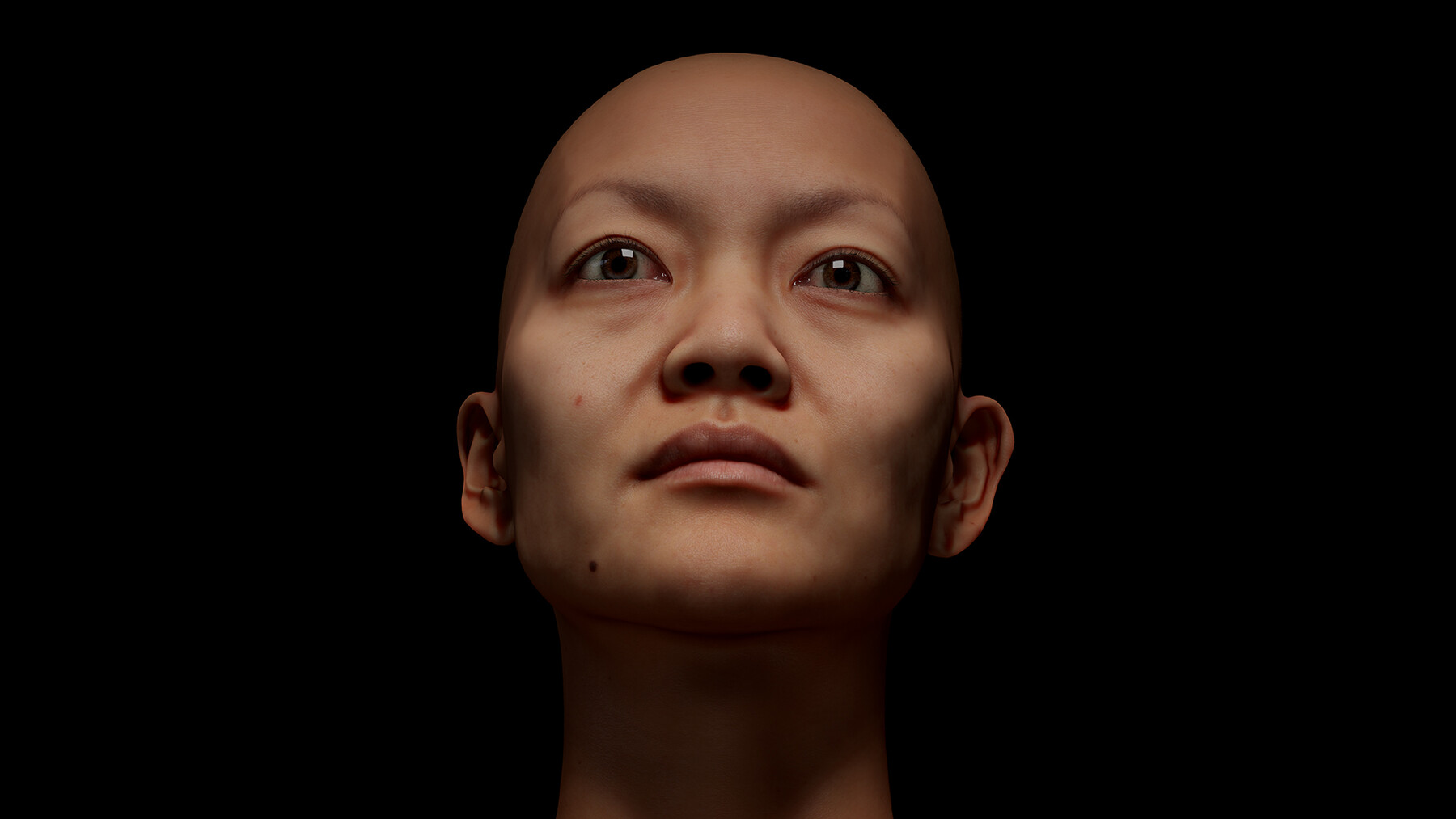 ArtStation - Retopologized Female 3D Head Scan | Miyaguchi Hoshie ...