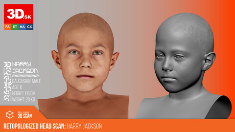 Retopologized Male 3D Head scan | Harry Jackson
