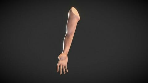 Fit Male Anatomy - Foot base mesh