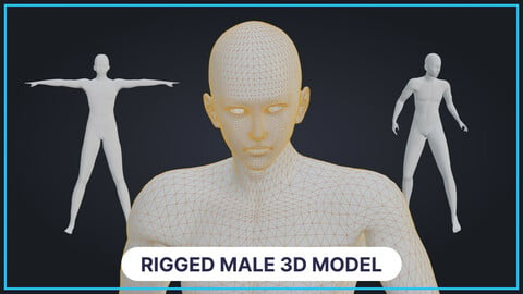 Free Rigged Male 3D Model Basemesh (with animation example)