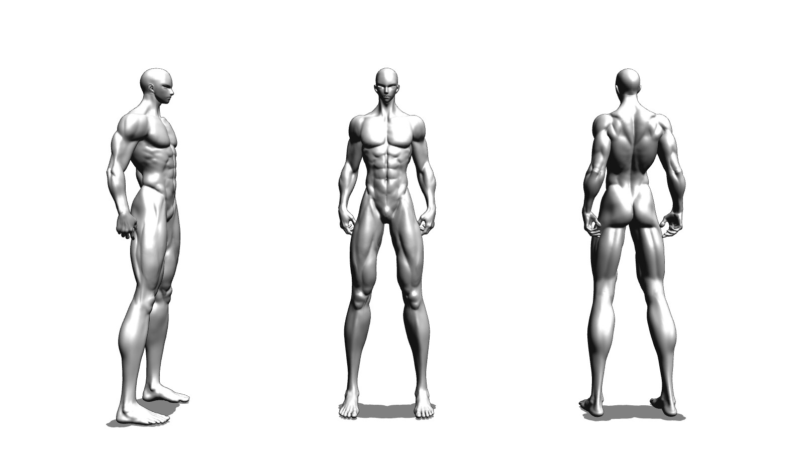 bulky male version 2 - CLIP STUDIO ASSETS