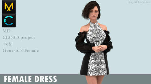 Female Dress. Marvelous Designer / Clo 3D project +obj