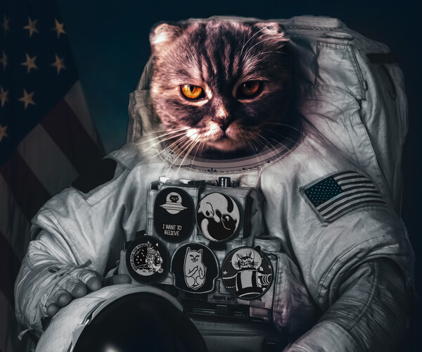 ArtStation - Catstronaut | Artworks