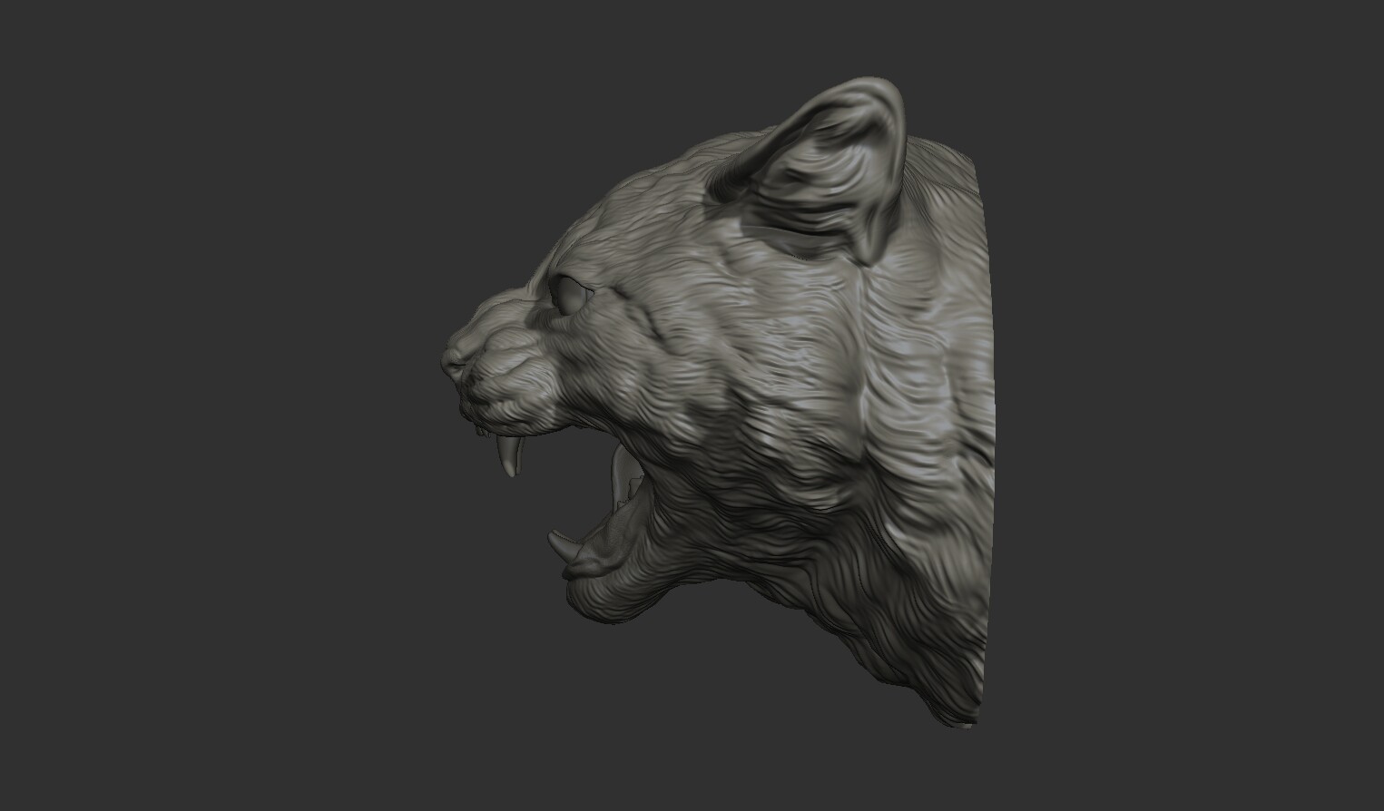 ArtStation - Cat grin head | Resources