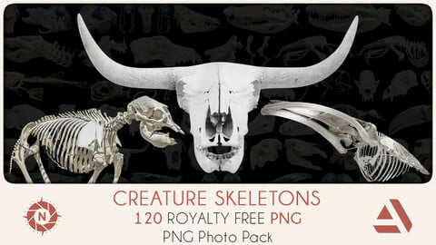 PNG Photo Pack: Creature Skeletons