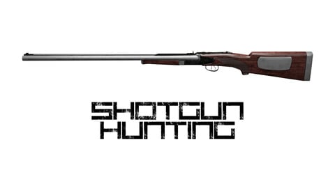 Shotgun Hunting