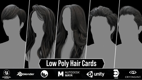 Very Low Poly Hair Cards ( 20 Male And Female Hair Models) 30% Off
