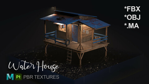 Water House - 3D Model