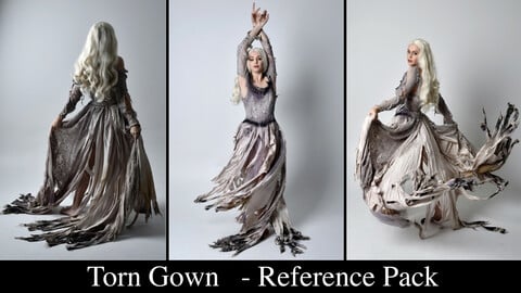 x130 Torn Gown - Pose Reference Pack