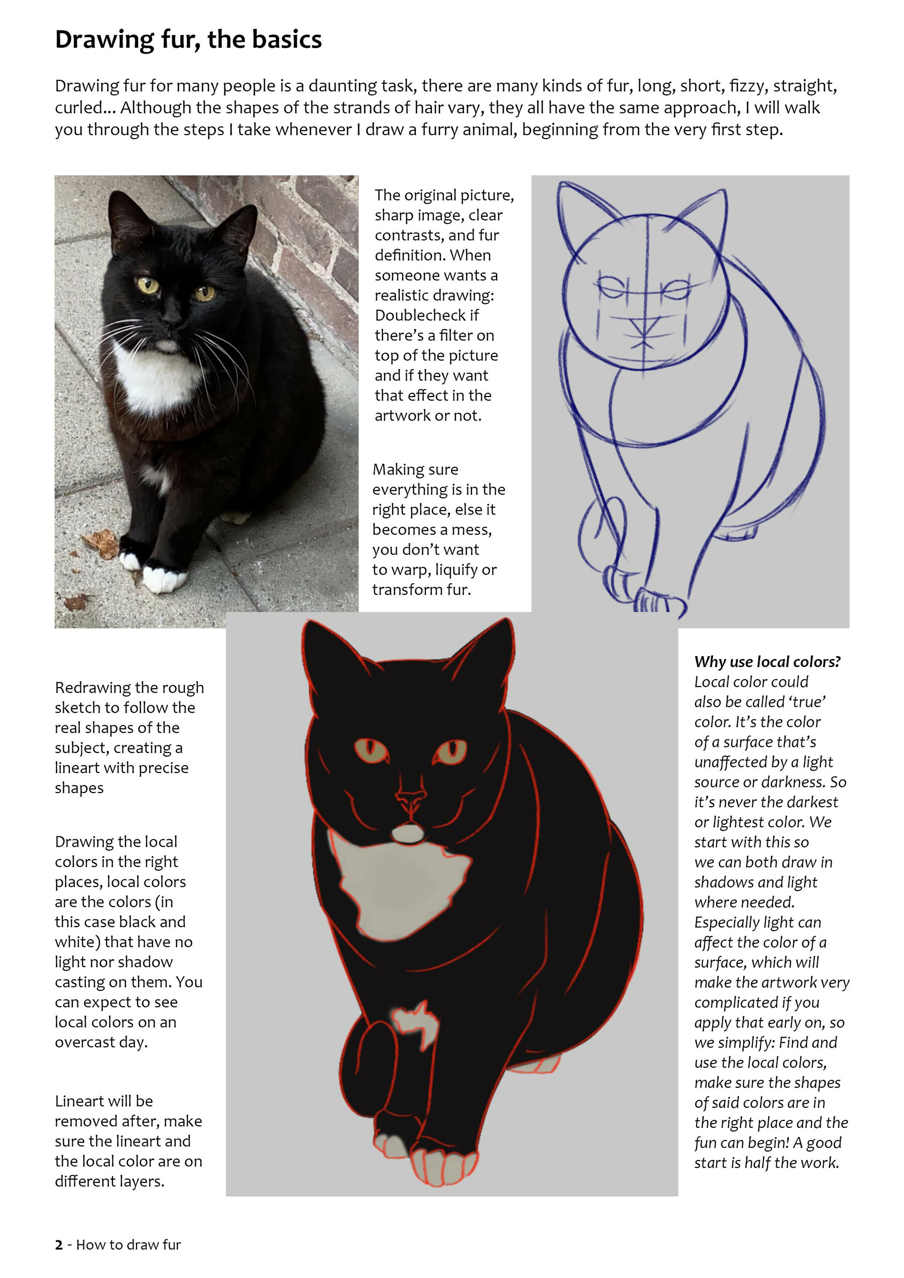 ArtStation - Draw a furry animal from scatch Tutotial | Tutorials