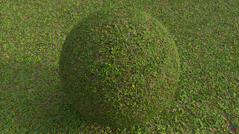 Grass (002) - Photogrammetry Material