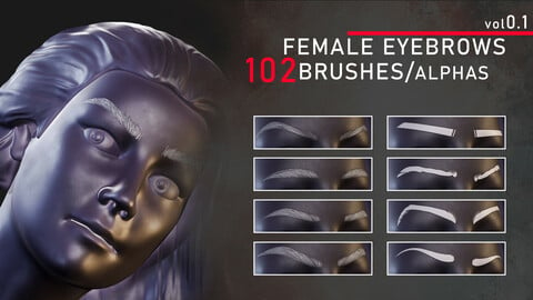 Female eyebrows brushes / alphas :