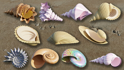 Sea Shell (Seashell) Generator for Blender Geometry Nodes