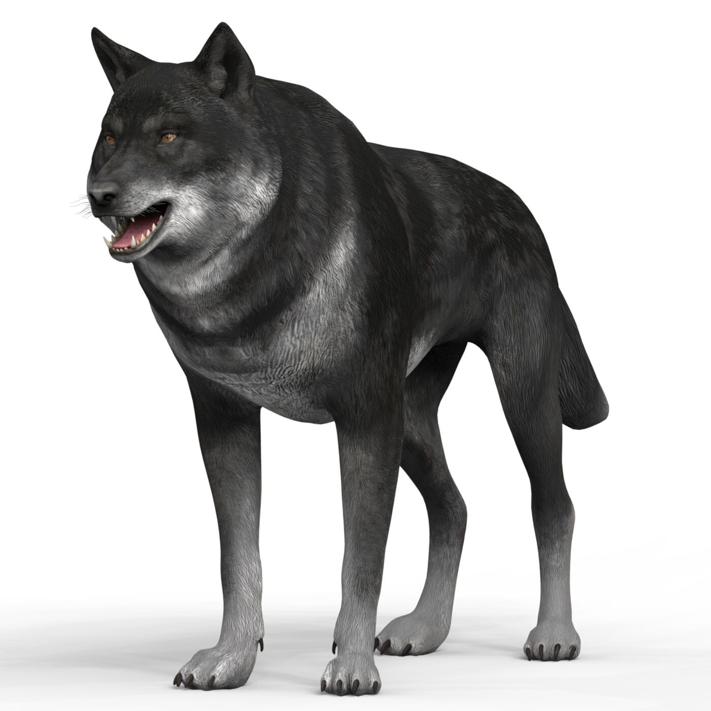 Wolf models. Волк 3д модель. Волк 3d модель. Волк STL модель. Вороной 3d модель волка.
