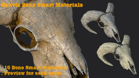 10 Bone Smart Materials