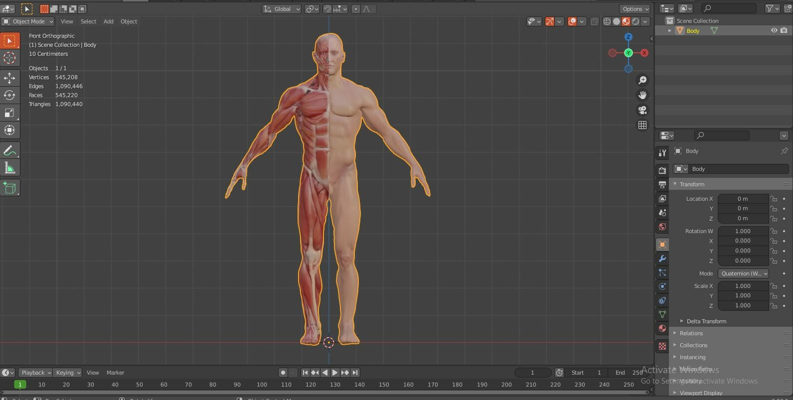 ArtStation - Human Anatomy and skeleton complete Body | Resources