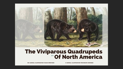 The Viviparous Quadrupeds of North America Procreate Brushes
