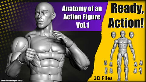 Ready, Action! Anatomy of an Action Figure Vol.1