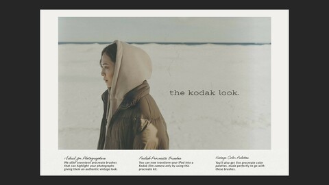 The Kodak Look Procreate Kit (Ideal for Photographers)