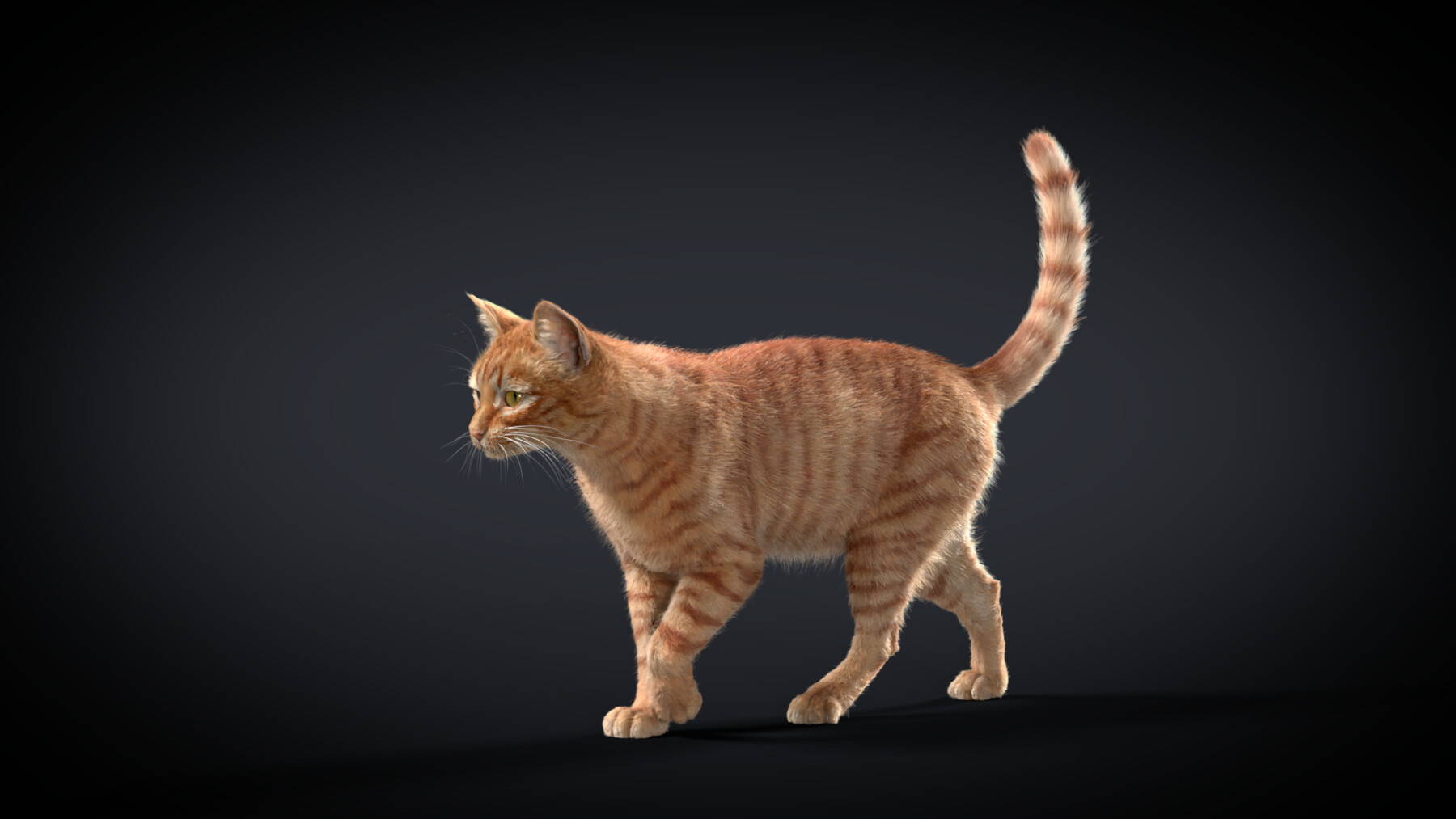 ArtStation - Orange Cat Animated | VFX Grace | Game Assets