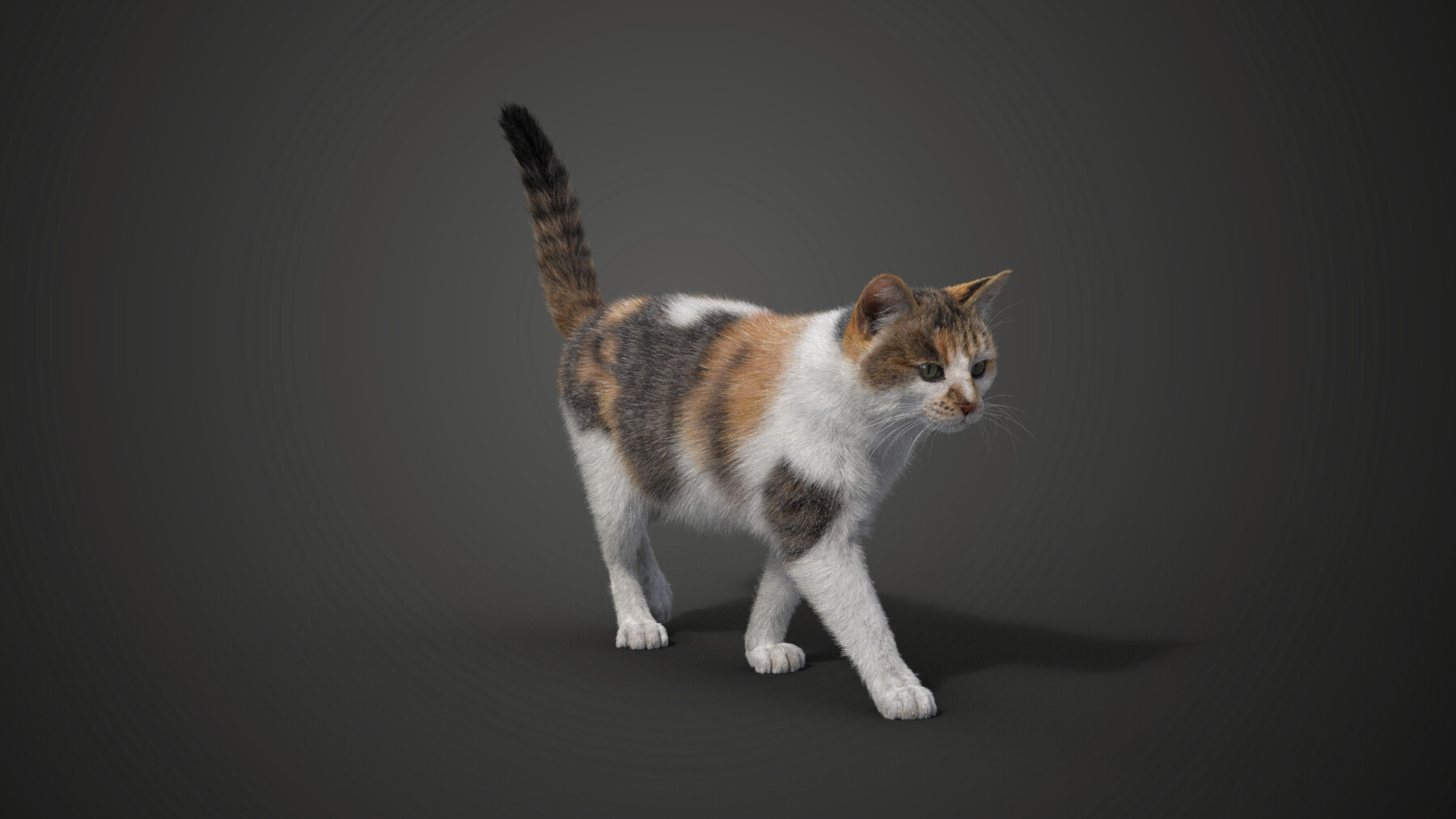 ArtStation - Cat Game