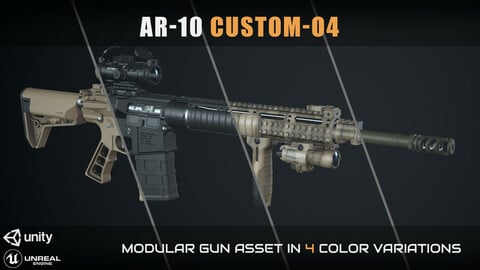 AR-10 Custom-04