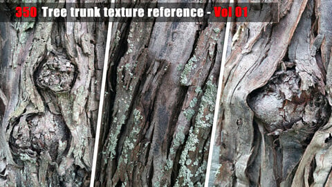 Tree trunk texture reference - Vol 01