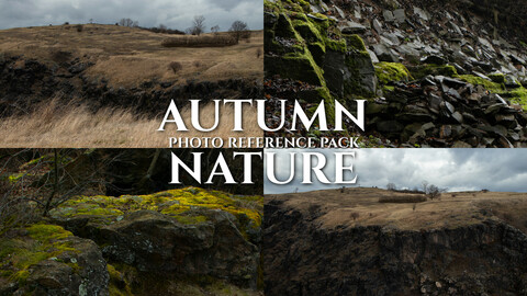 Autumn Nature- Photo Reference Pack- 193 JPEGs