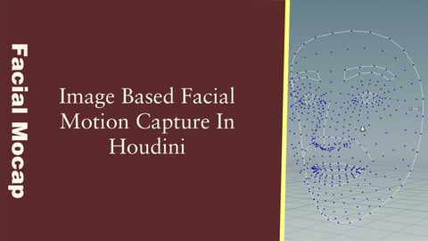 Image Based Facial Mocap In Houdini