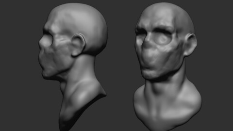 Head Male base Mesh